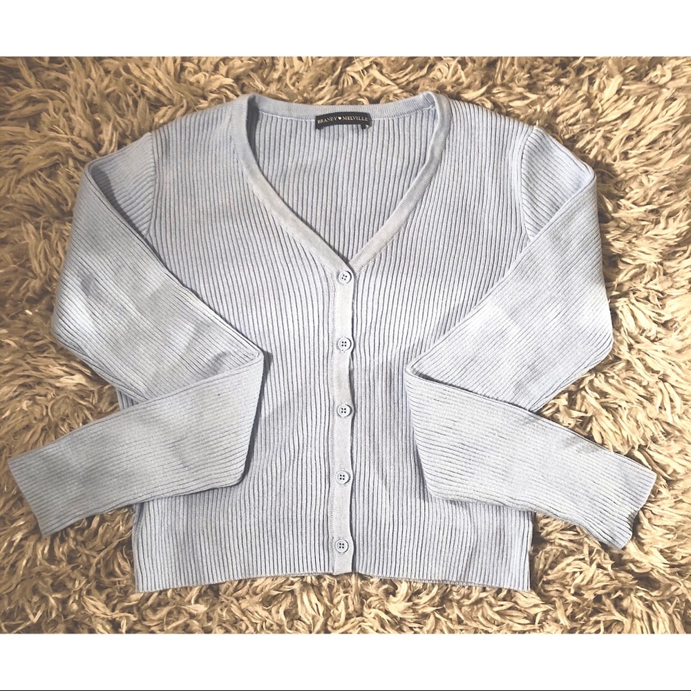 Brandy Melville Baby Blue Crop Sweater